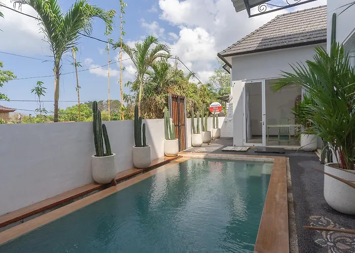 Margarita * Canggu (Bali)